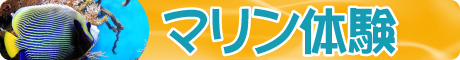 マリン体験