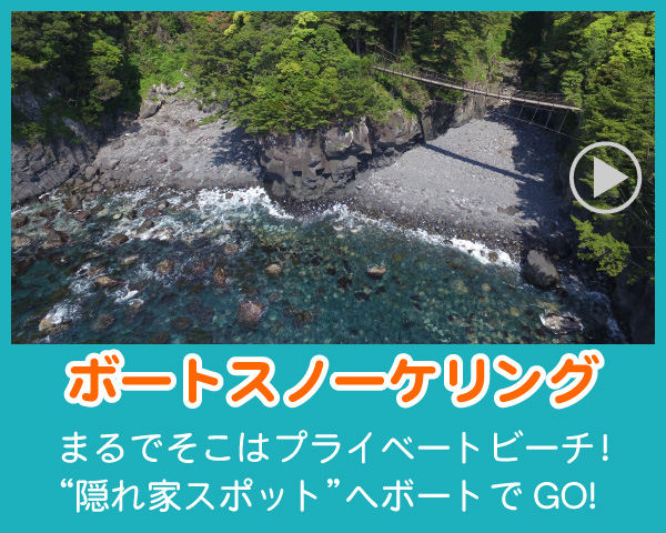 伊豆のボートスノーケリング