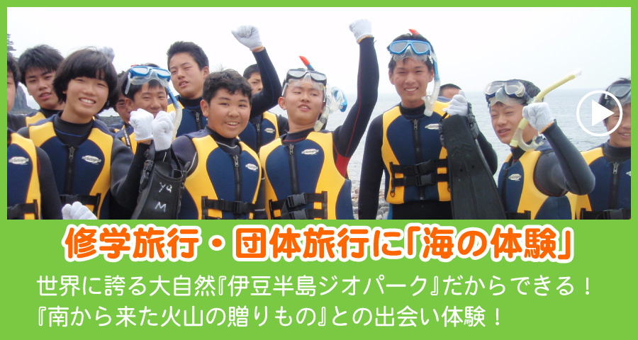 伊豆の修学旅行・団体旅行