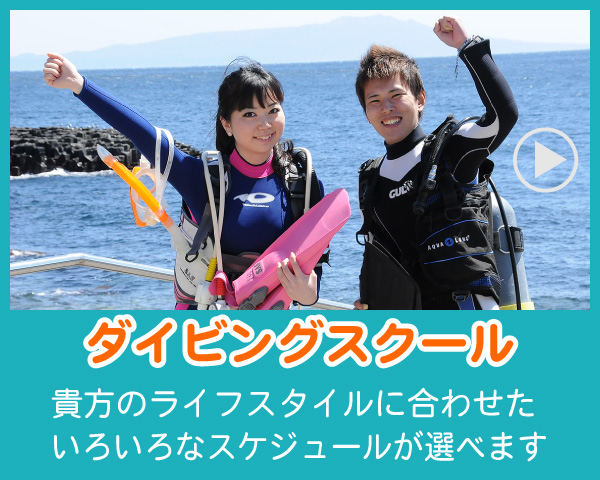 伊豆のダイビングスクール
