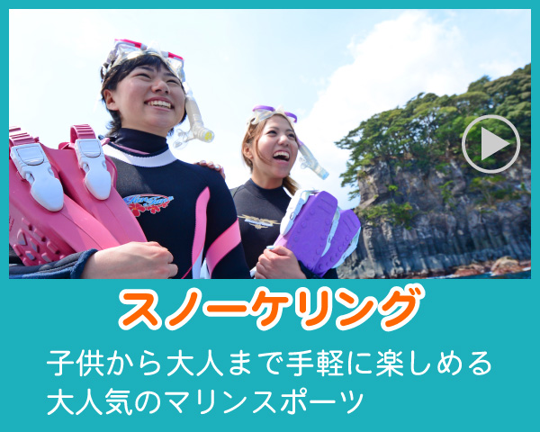 伊豆のシュノーケリング