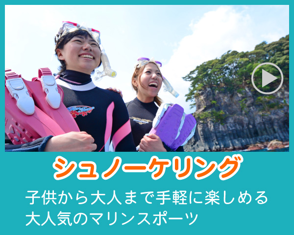 伊豆のシュノーケリング
