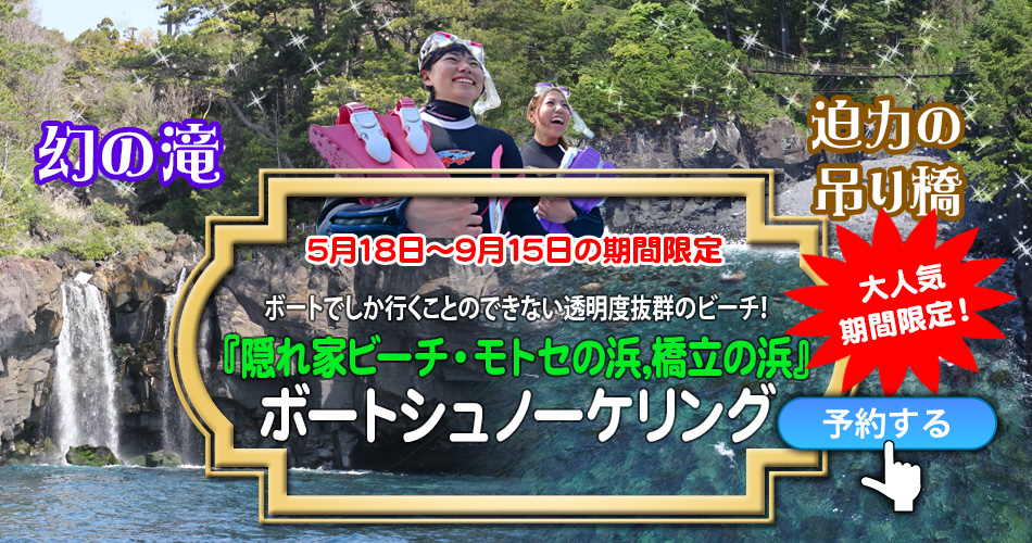 伊豆のボートシュノーケリング