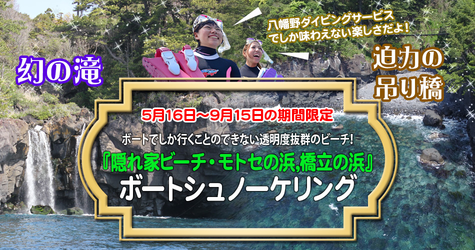 伊豆ボートシュノーケリング