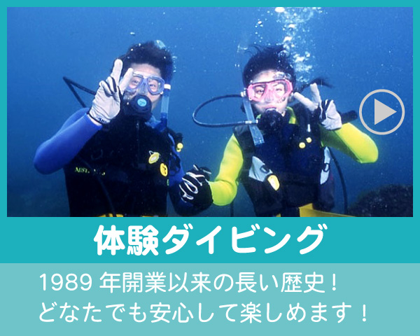 八幡野体験ダイビング