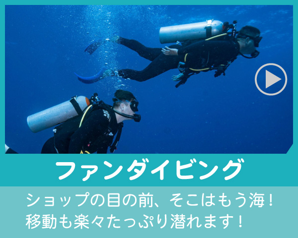 八幡野ファンダイビング