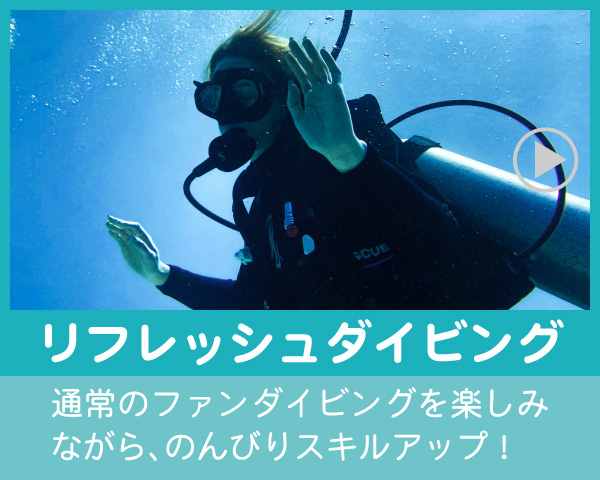 八幡野リフレッシュダイビング