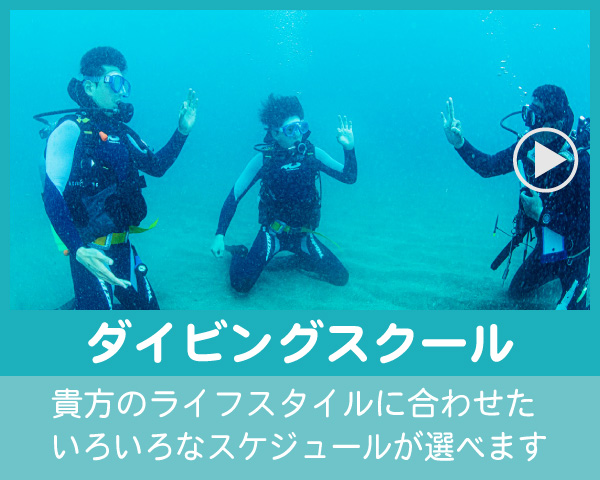 八幡野ダイビングスクール