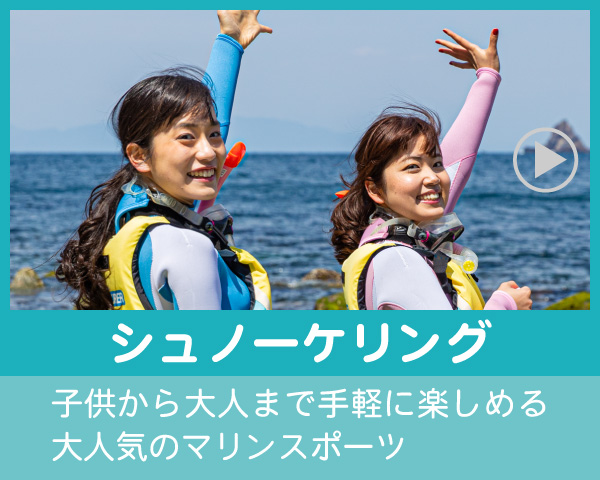 八幡野シュノーケリング